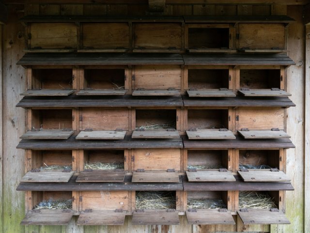 Shaded individual pigeon nesting compartments with visible inspection access